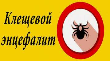Горячая линия по профилактике клещевого энцефалита и других инфекций, передающихся клещами Горячая линия по профилактике клещевого энцефалита и других инфекций, передающихся клещами.